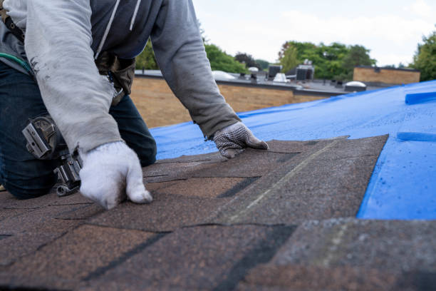 Professional Roofing Contractor in Henderson, TX